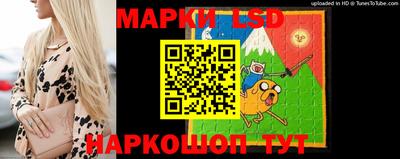стаф Аргун