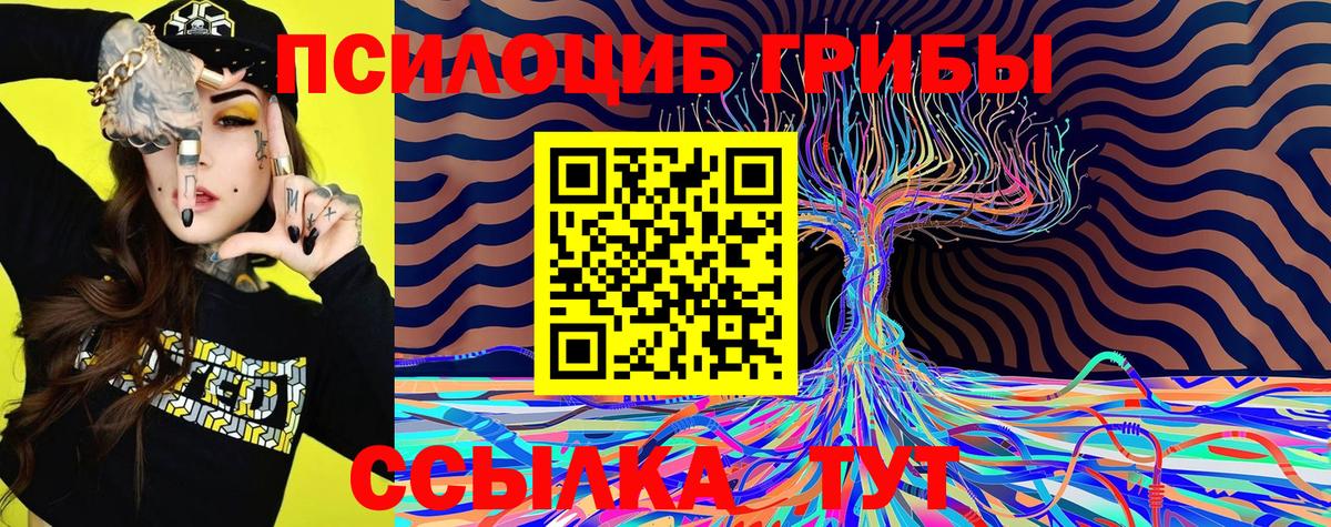 Галлюциногенные грибы прущие грибы Баксан