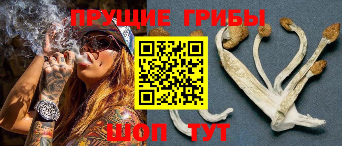 Галлюциногенные грибы ЛСД Баксан